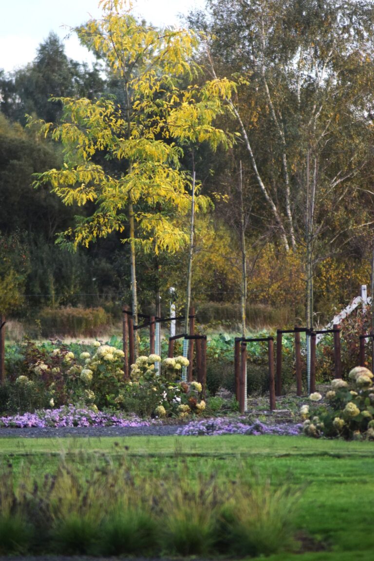 DSC_0031